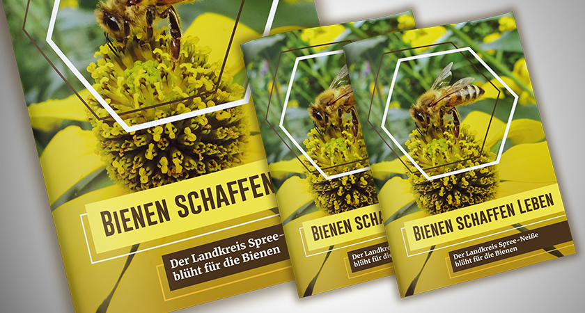 Broschüre Magazin Bienen layout satz landkreis spree-neisse forst carographic grafik